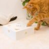 Jeu chat attrape souris plume