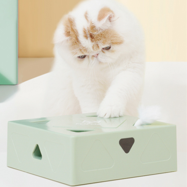 Jeu de chasse attrape souris pour chat – Image 3