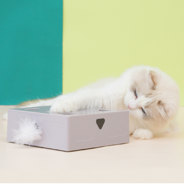 Jeu de chasse attrape souris pour chat – Image 4
