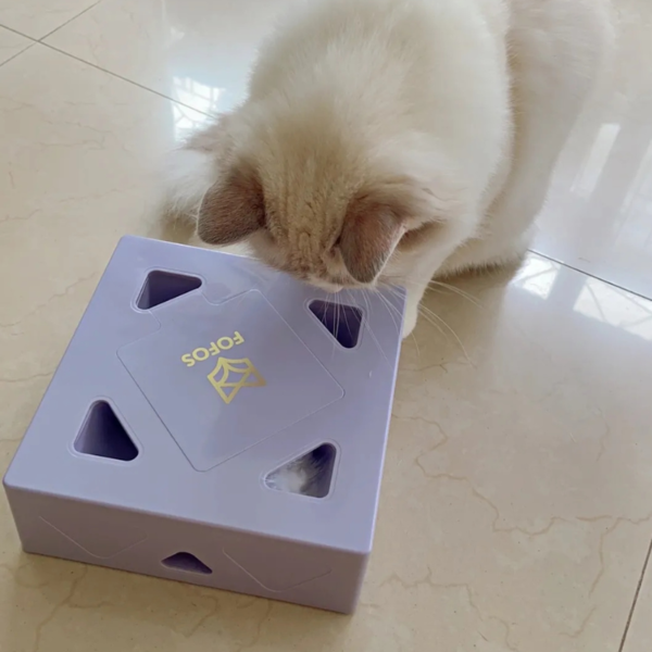 Jeu de chasse attrape souris pour chat – Image 5