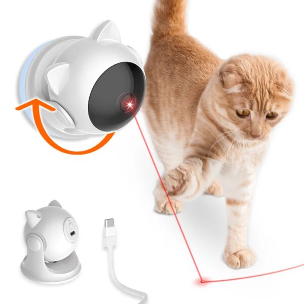 laser pour chat